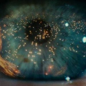 Meet your Posher, Louis